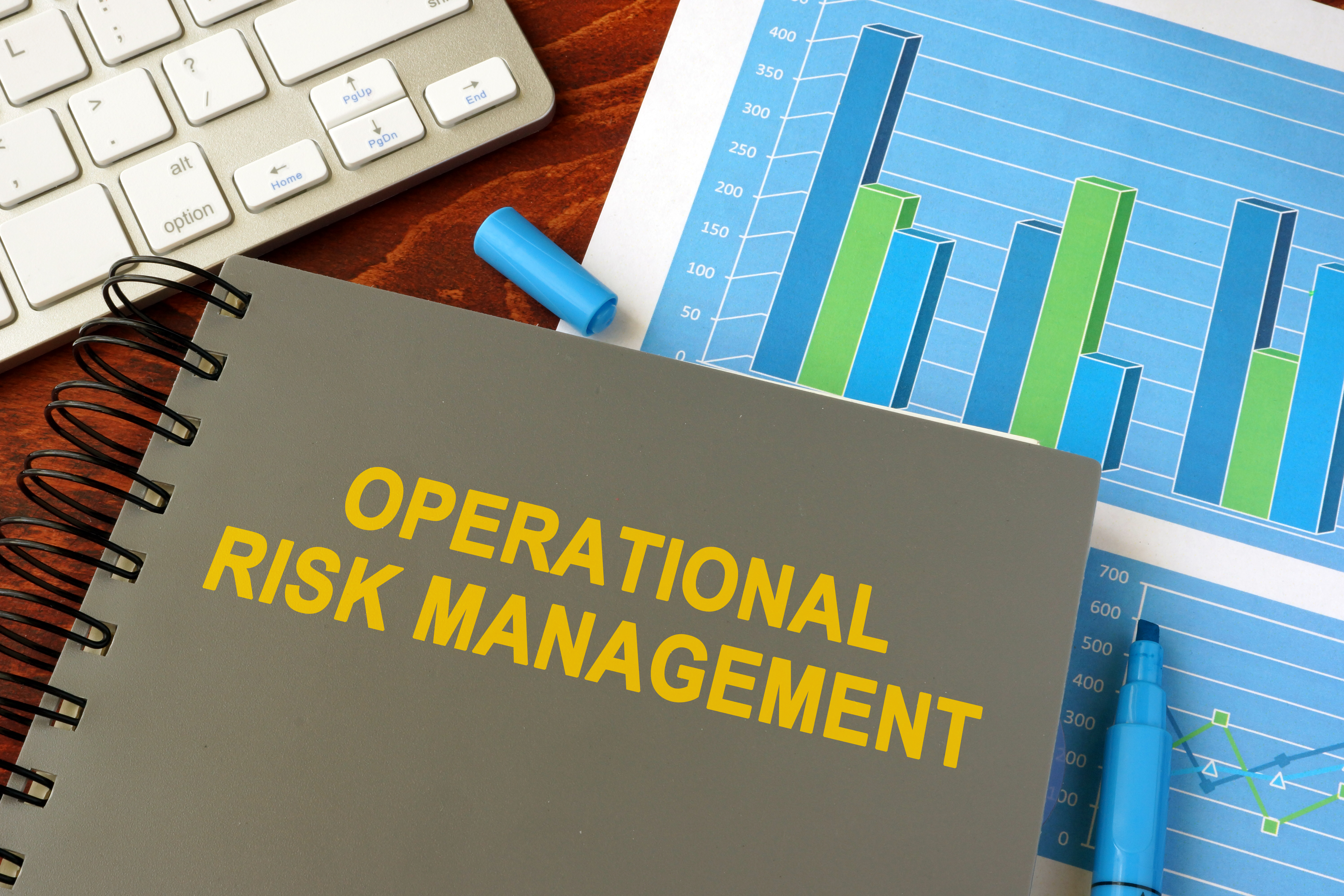 operational risk manager salary